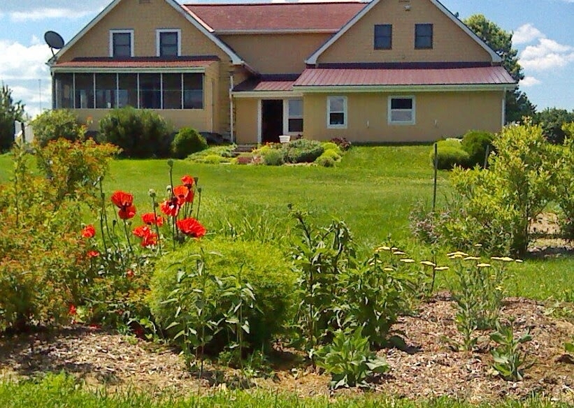 East Burke VT Homes for Sale CENTURY 21 Farm & Forest